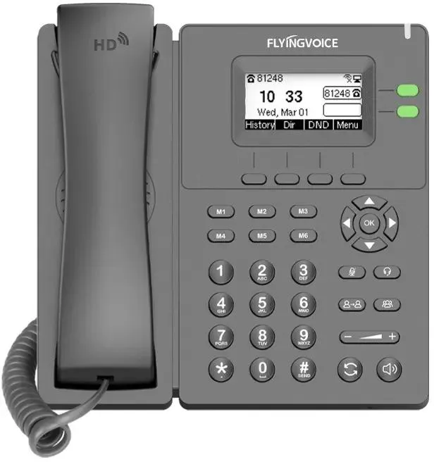 FLYINGVOICE P11