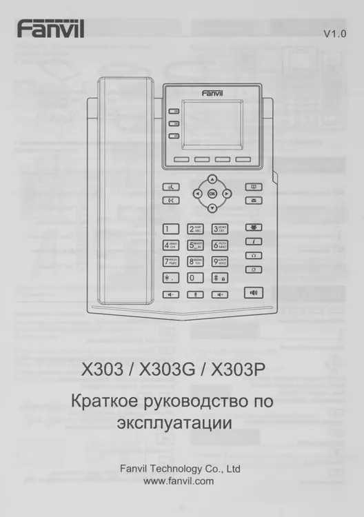 Fanvil X303
